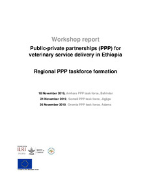HEARD regional taskforce workshop report.pdf.jpg
