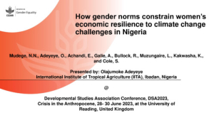 HER+ Initiative WP1 Norms Study - Nigeria - UK DSA Conference.pdf.jpg