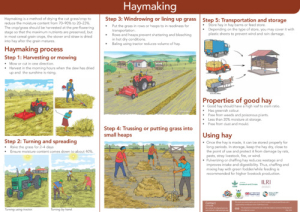 HayMaking_en_May2024.pdf.jpg