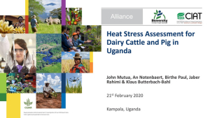 Heat stress assessment in Uganda.pdf.jpg