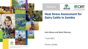 HeatStressAssessment_DairyCattle_Zambia.pdf.jpg