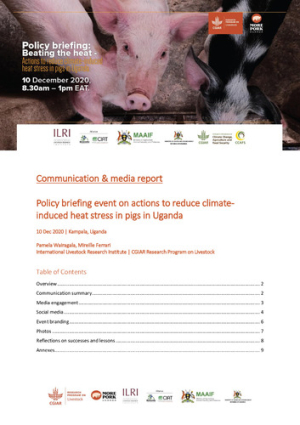 HeatStress_PolicyBriefing_CommsMediaReport_FINAL.pdf.jpg