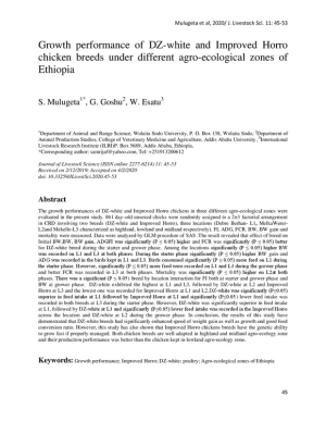 Horro-chicken.pdf.jpg