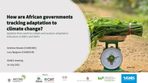 How are African Govs tracking adaptation-AGNES-updates-July14.pdf.jpg