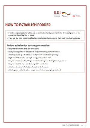 HowEstablishfodder.pdf.jpg