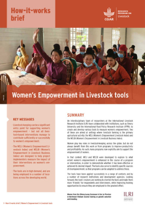 HowItWorksBrief_brief_womensEmpowerment.pdf.jpg