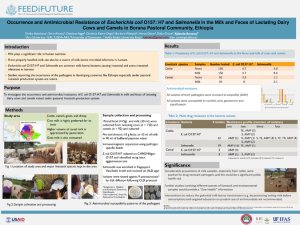 IAFP_Poster.pdf.jpg