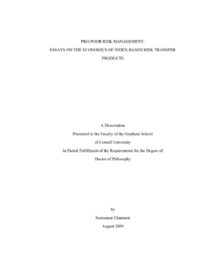 IBLI_ThesisChantarat.pdf.jpg