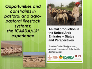ICARDA-ILRI presentation.pdf.jpg