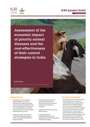 ICAR_ILRI_Brief.pdf.jpg