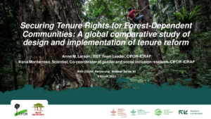 IFAD-CGWebinar3-Tenure_RV.pdf.jpg