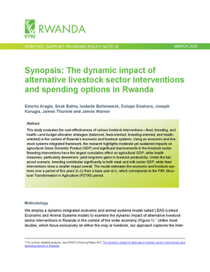 IFPRI Rwanda_SSP_PN20.pdf.jpg