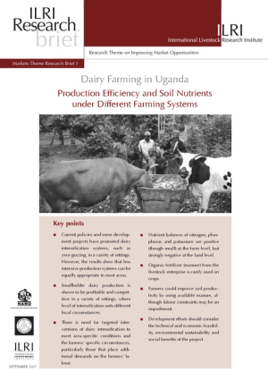ILRI Briefs - Dairy Farming in Uganda.pdf.jpg