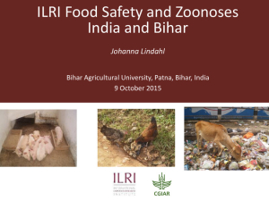 ILRI food safety zoonoses.pdf.jpg
