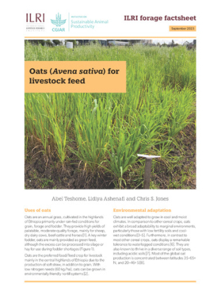 ILRI_ForageFactsheet_Oats.pdf.jpg
