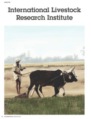 ILRI_Intl_Innovation_141_Research_Media_HR (2).pdf.jpg