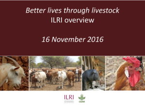 ILRI_overview_nov16.pdf.jpg
