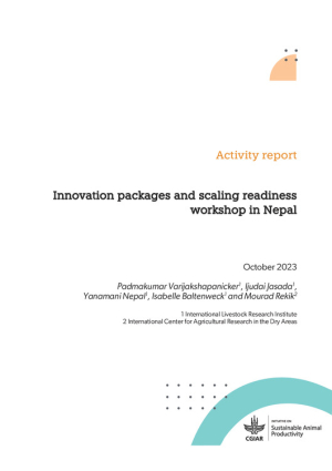 IPSRpackagingWSreport.pdf.jpg