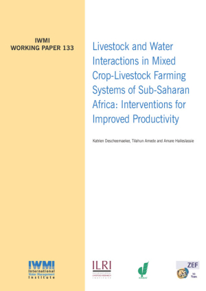 IWMI_WorkingPaper133.pdf.jpg