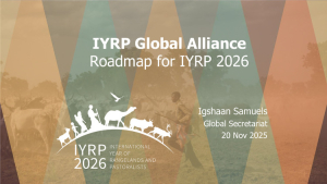 IYRP-GA-road-map-2025.pdf.jpg
