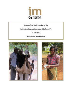 ImGoats Inhassoro 6th IP meeting 26 July_Report_final.pdf.jpg