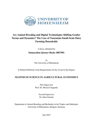 Immaculata Okeke_802709_Masters thesis new.pdf.jpg