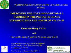 Improving livelihood of small farmers in the pig value chain.pdf.jpg