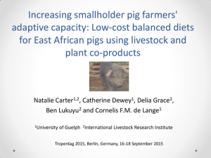 Increasing smallholder pig farmers’ adaptive capacity.pdf.jpg
