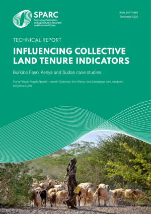 Influencing collective land tenure indicators.pdf.jpg