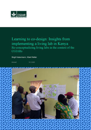 Infobrief Learning to co-design.pdf.jpg