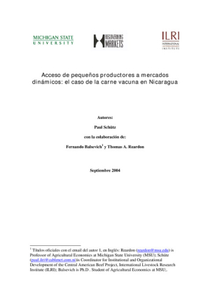 Informe de la carne NicaraguaV01-11-04.pdf.jpg