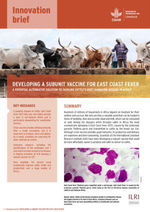 InnovationBrief_ECF_vaccine.pdf.jpg