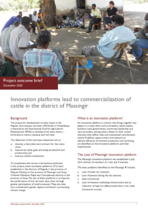 InnovationPlatforms_outcome brief.pdf.jpg