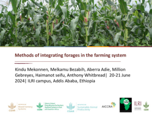 Integrated Forage_2024.pdf.jpg