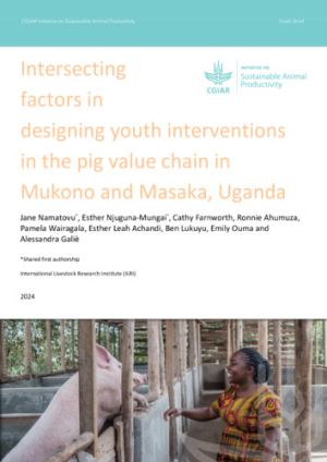 Intersecting factors in designing youth interventions in the pig value chain in Mukono and Masaka Uganda.pdf.jpg