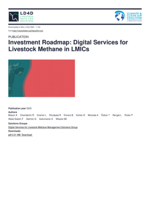 Investment_Roadmap_Digital_Services.pdf.jpg