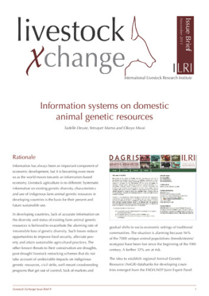 IssueBrief9.pdf.jpg