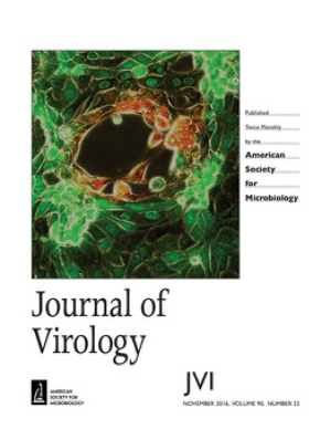J Virol.jpg