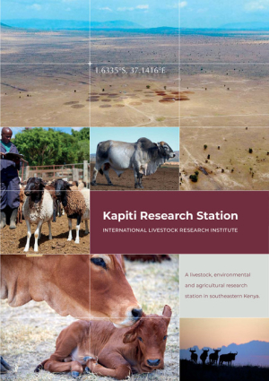 KapitiBrochure_2019.pdf.jpg