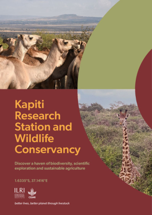 Kapiti_Brochure.pdf.jpg