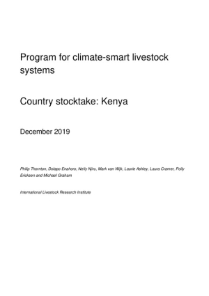 Kenya stocktake report.pdf.jpg