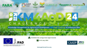 Knowledge Management for projects- COHESA case study .pdf.jpg