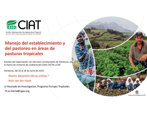 LINK 7 - Manejo de establecimiento y del pastoreo.pdf.jpg