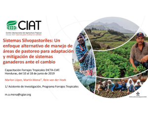 LINK 8 - Sistemas Silvopastoriles.pdf.jpg