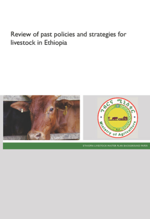 LMP_PastPolicies_2013.pdf.jpg