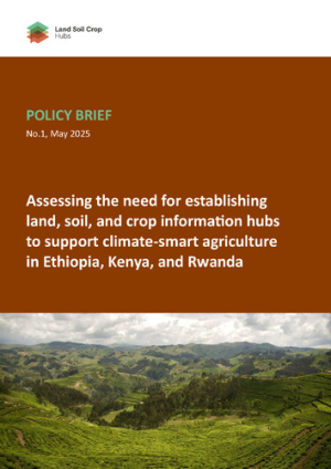 LSC-hubs policy brief.pdf.jpg