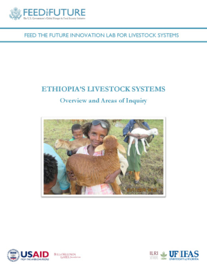LSIL_Livestock_Systems_Overview_Ethiopia_2021_08.pdf.jpg