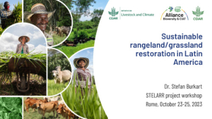 Latin America STELLAR.pdf.jpg