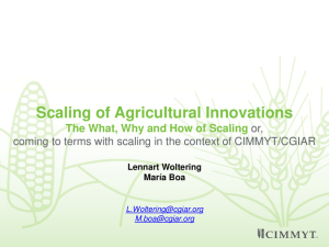 Lennart Scaling_2019.pdf.jpg