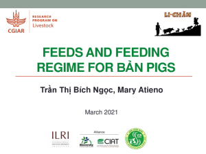 Li-chan_Feeds and feeding regime for Bản pigs.pdf.jpg